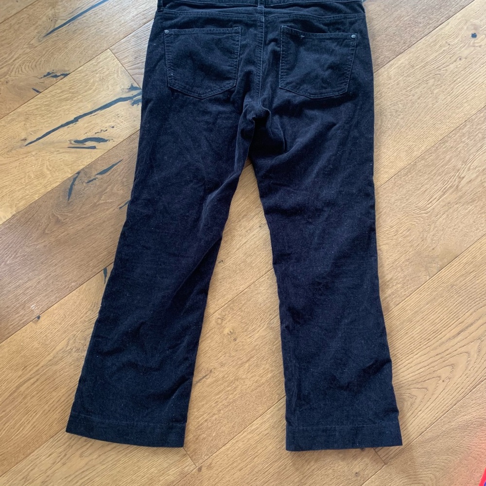 Anthropologie pilcro stet cords - Picture 3 of 7